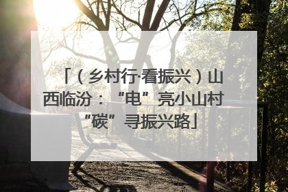 （乡村行·看振兴）山西临汾：“电”亮小山村 “碳”寻振兴路