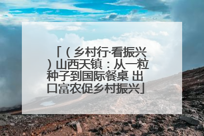 （乡村行·看振兴）山西天镇：从一粒种子到国际餐桌 出口富农促乡村振兴
