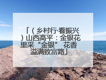 （乡村行·看振兴）山西高平：金银花里采“金银” 花香溢满致富路