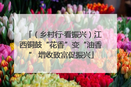 （乡村行·看振兴）江西铜鼓“花香”变“油香” 增收致富促振兴