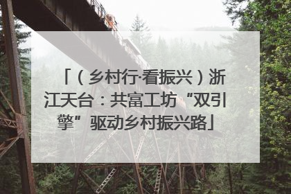 （乡村行·看振兴）浙江天台：共富工坊“双引擎”驱动乡村振兴路