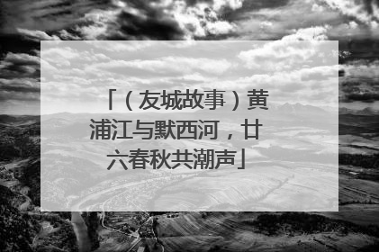 （友城故事）黄浦江与默西河，廿六春秋共潮声