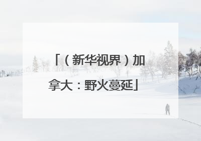 （新华视界）加拿大：野火蔓延