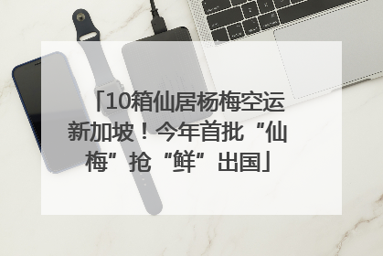 10箱仙居杨梅空运新加坡！今年首批“仙梅”抢“鲜”出国