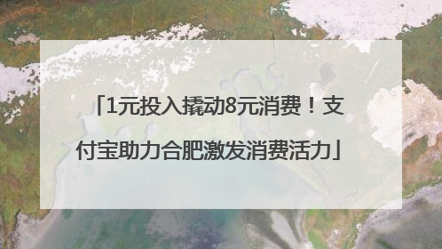 1元投入撬动8元消费！支付宝助力合肥激发消费活力