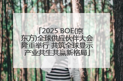 2025 BOE(京东方)全球供应伙伴大会隆重举行 共筑全球显示产业共生共赢新格局