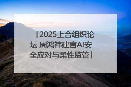 2025上合组织论坛 周鸿祎建言AI安全应对与柔性监管