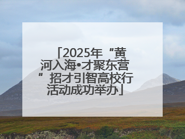 2025年“黄河入海•才聚东营”招才引智高校行活动成功举办