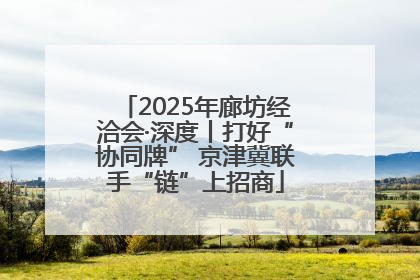 2025年廊坊经洽会·深度丨打好“协同牌” 京津冀联手“链”上招商