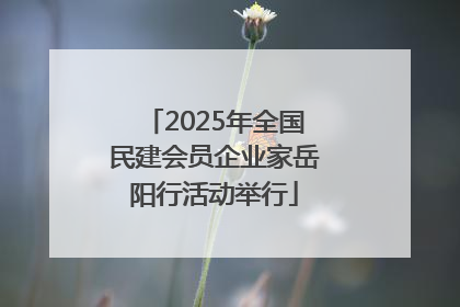 2025年全国民建会员企业家岳阳行活动举行