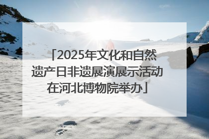 2025年文化和自然遗产日非遗展演展示活动在河北博物院举办