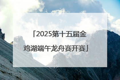2025第十五届金鸡湖端午龙舟赛开赛