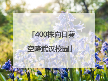 400株向日葵空降武汉校园