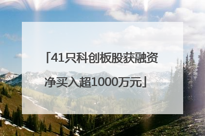 41只科创板股获融资净买入超1000万元