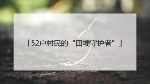 52户村民的“田埂守护者”