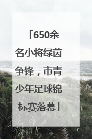 650余名小将绿茵争锋，市青少年足球锦标赛落幕