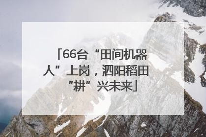 66台“田间机器人”上岗，泗阳稻田“耕”兴未来