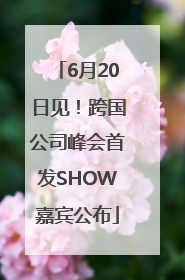 6月20日见！跨国公司峰会首发SHOW嘉宾公布
