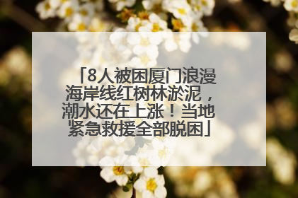 8人被困厦门浪漫海岸线红树林淤泥，潮水还在上涨！当地紧急救援全部脱困