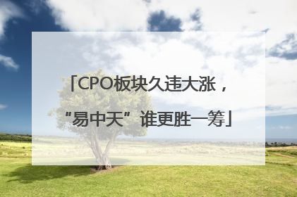 CPO板块久违大涨，“易中天”谁更胜一筹