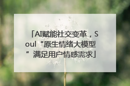 AI赋能社交变革，Soul“原生情绪大模型”满足用户情感需求