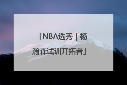 NBA选秀｜杨瀚森试训开拓者
