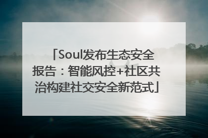 Soul发布生态安全报告：智能风控+社区共治构建社交安全新范式